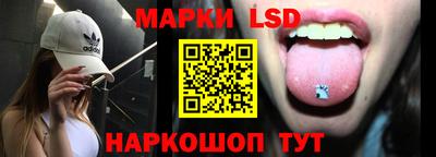 гидра Будённовск