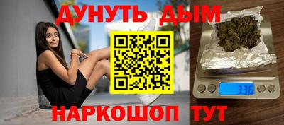 гидра Будённовск